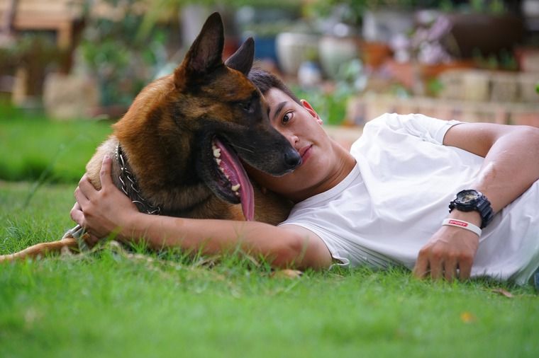 犬は言葉を理解できているの? よく見て話せば伝わるコミュニケーション