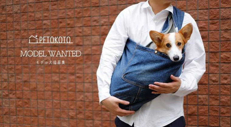 【モデル犬猫募集】ペトことのグッズモデル犬猫募集がはじまります!