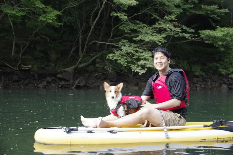 ボードの上で飼い主とSUPを楽しむ犬