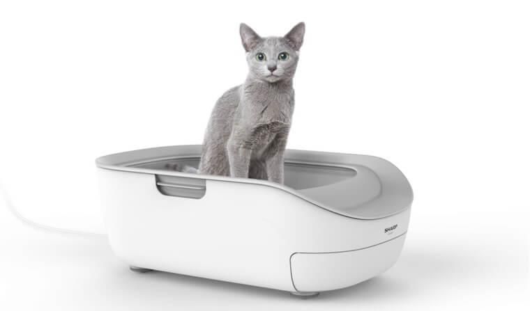 猫の平均寿命が5年伸びる!? シャープがペット事業参入で猫用トイレ発売