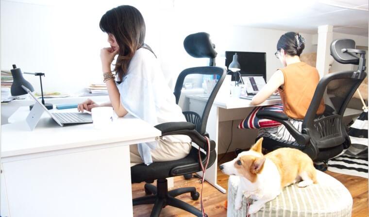アメリカには「犬を職場に連れて行く日」がある!? みんなが考えるべき意外な目的とは