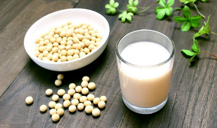 犬は豆乳を飲んでも大丈夫? ヨーグルトやホイップも豆乳が原料なら食べられる