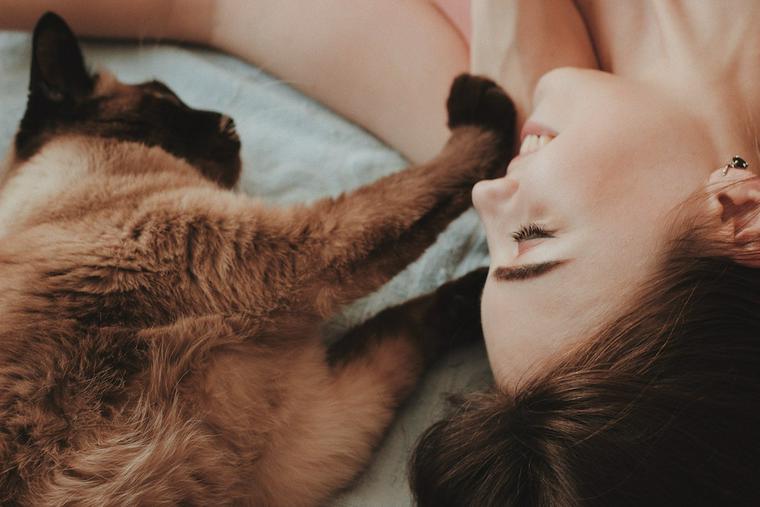 猫と信頼関係を築くにはゆっくり時間をかけて! セルフチェックと修復法も紹介