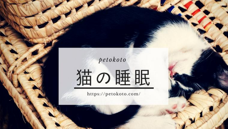 猫の睡眠時間はどれくらい? 長い理由や寝相からわかること、考えられる病気も