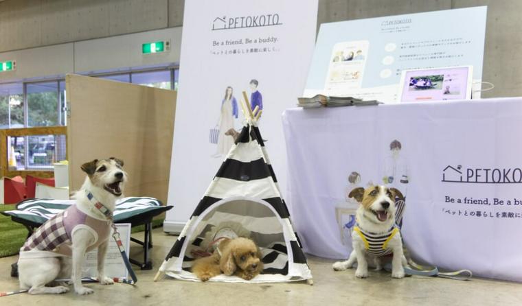 「カートラジャパン2018」開催中 愛犬たちも楽しむ会場の様子をレポート♪