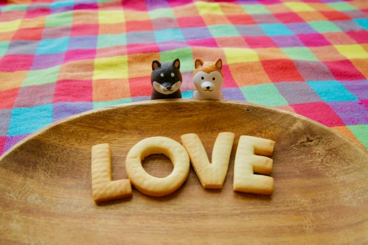 【2018年版】犬好きが選ぶバレンタイン商品を紹介! ゴンチャロフなどの人気ブランドチョコレートなど