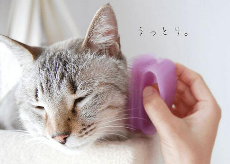猫のブラッシング|手袋などブラシの選び方から頻度や効果まで【プロが解説】
