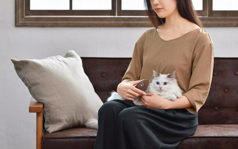 ソファで白い長毛猫を膝に乗せてブラッシングする女性