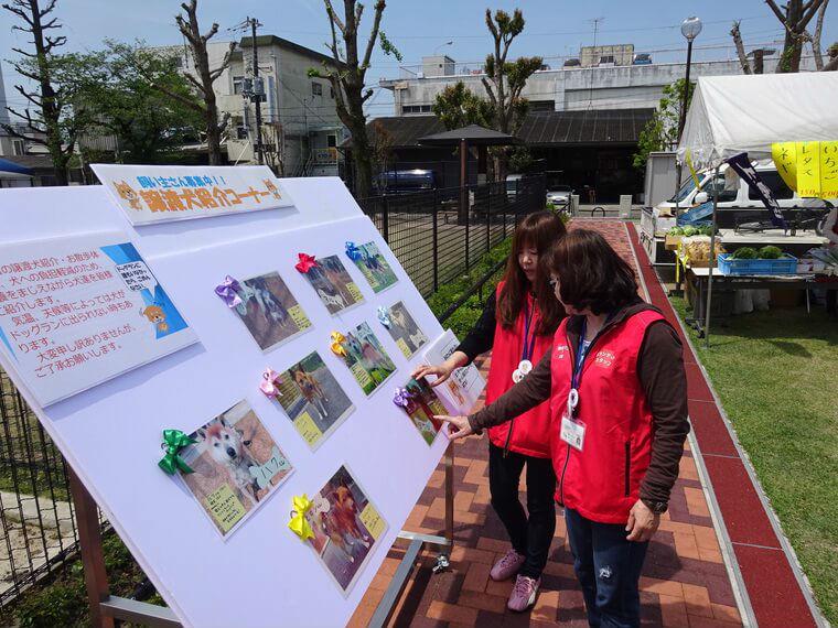 京都動物愛護センター