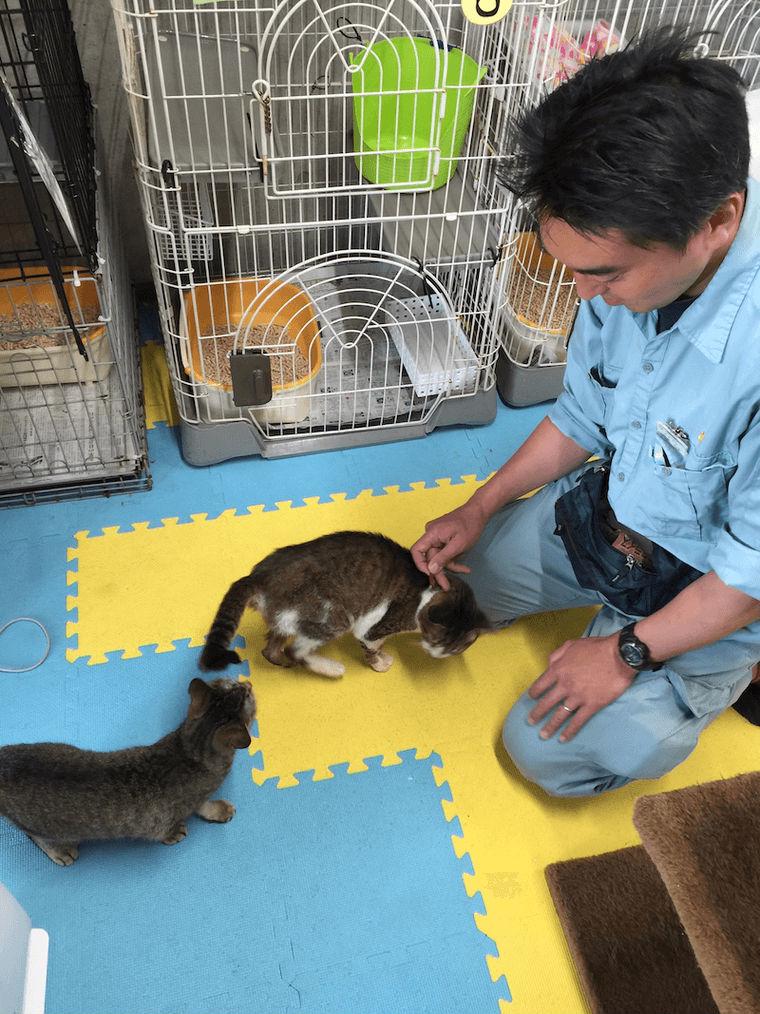 京都動物愛護センター