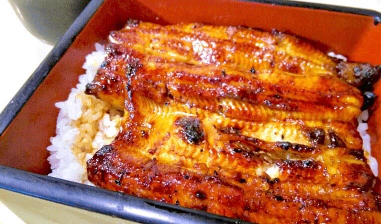 猫はうなぎを食べて大丈夫 与える際の注意点を解説