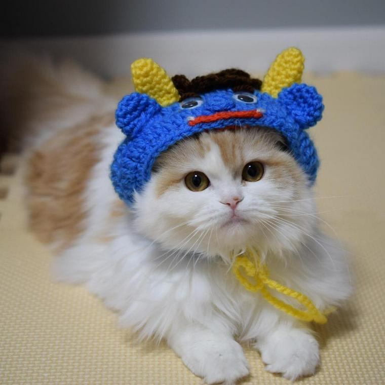 節分のかぶりものをする猫