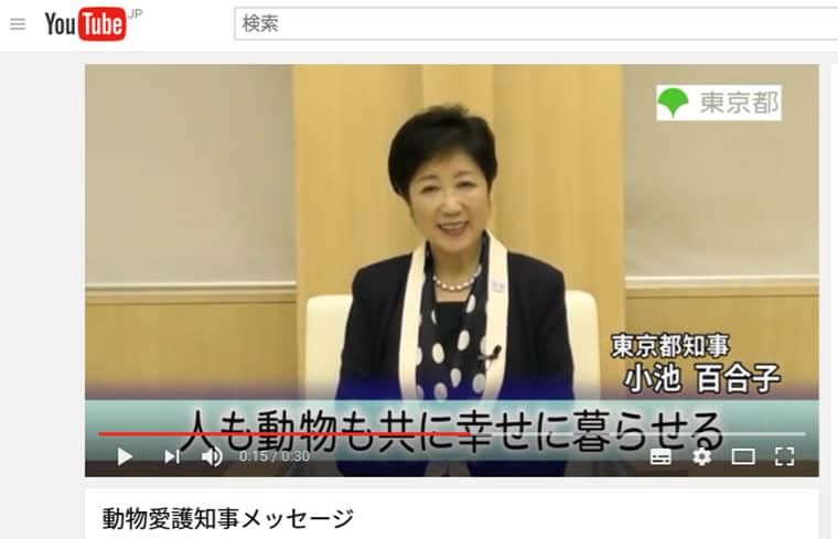 小池都知事がYouTubeで保護犬猫の譲渡を呼びかけ 東京を人も動物も幸せに暮らせる街へ
