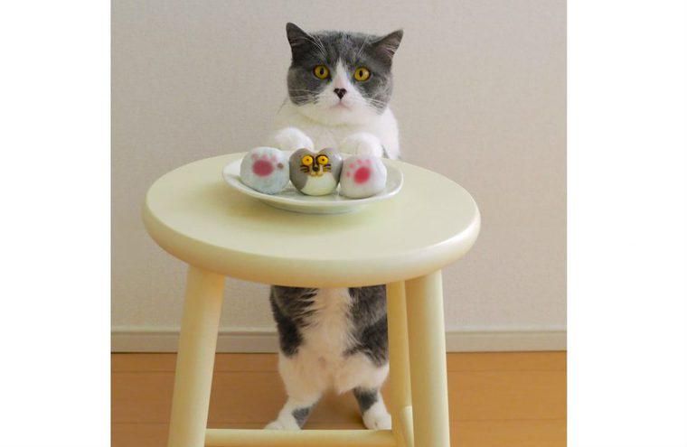 【2018ホワイトデー】猫好き女子にコレ!! 人気お菓子や猫モチーフグッズを紹介