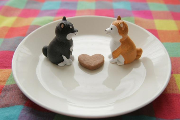 【2018ホワイトデー】犬好きにお返しをするならコレ!! チョコレートやお菓子などを紹介