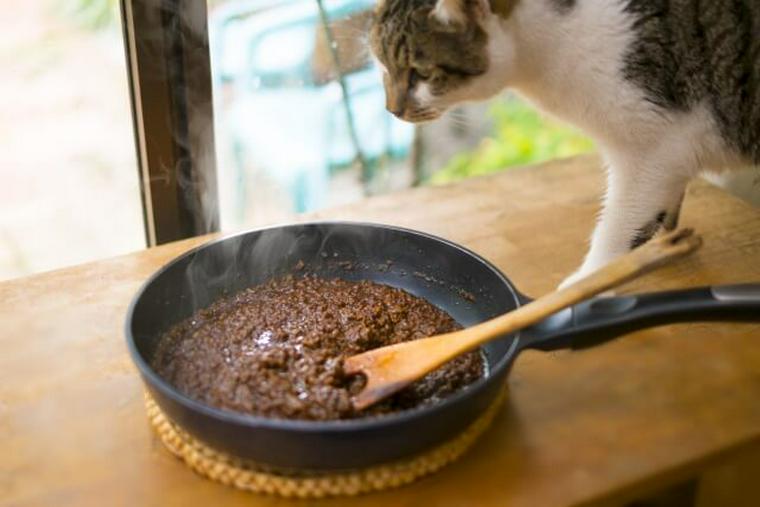 猫がカレーを食べるのはNG！玉ねぎで嘔吐、貧血の症状が出る可能性も 