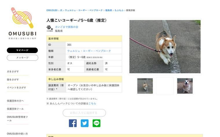 元保護犬こうたろうくん