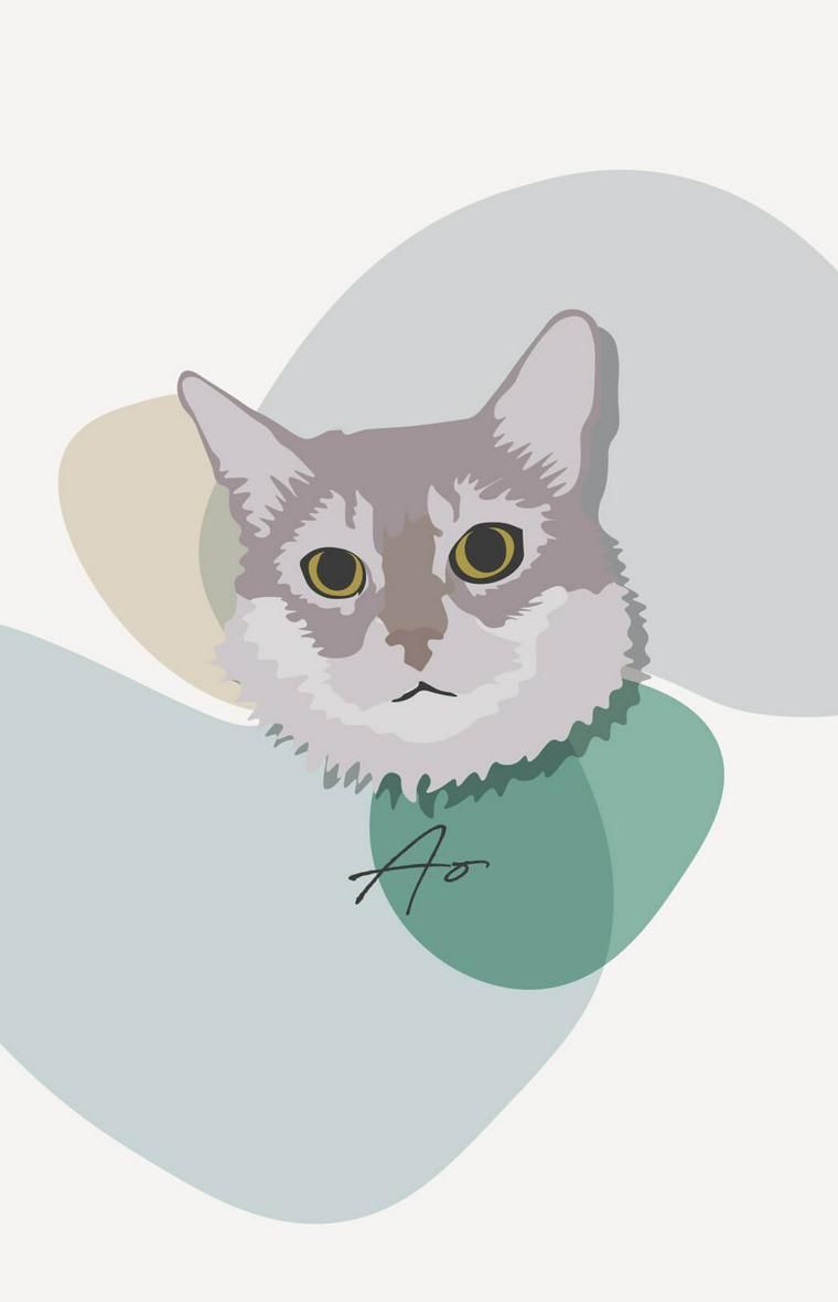 碧 (あお)ちゃんのイラスト