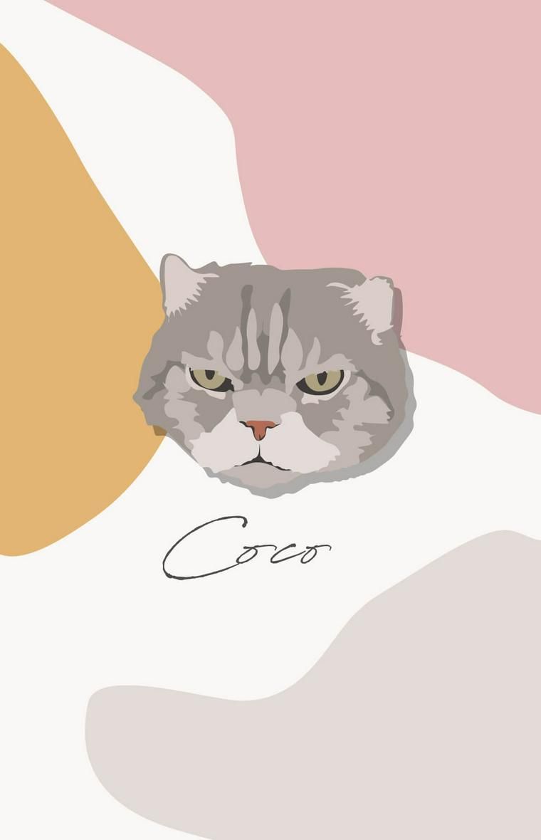 ココさんのイラスト