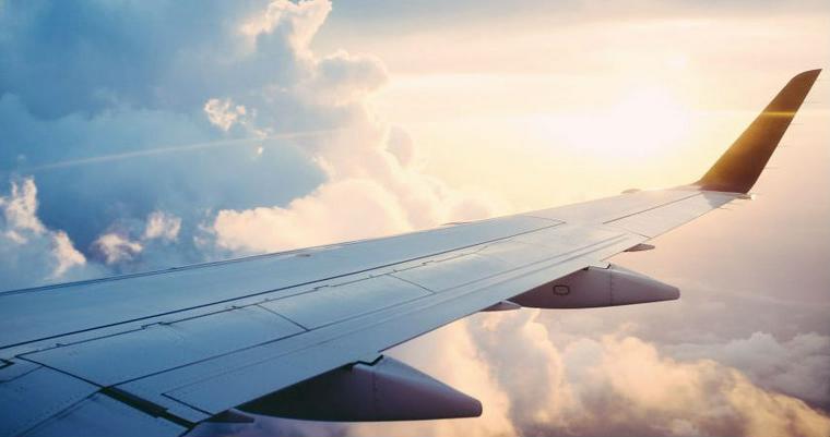 犬と飛行機に乗ることはできる? ケージや犬のストレスについて解説