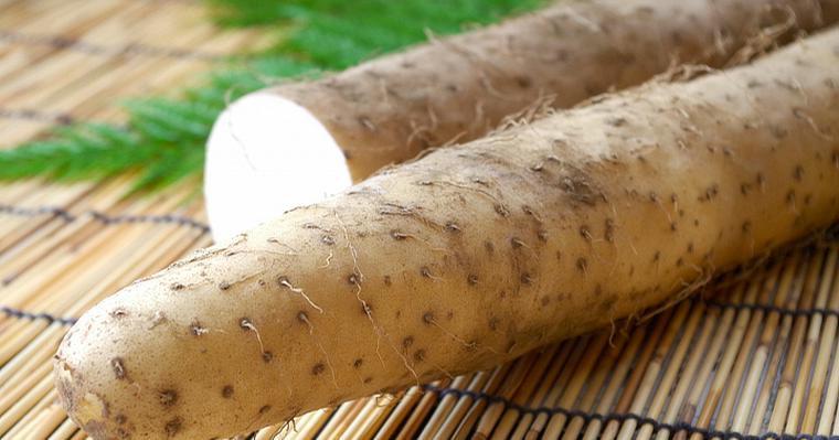 犬は山芋(とろろ)を食べても大丈夫? アトピーなど皮膚疾患がある犬はNG