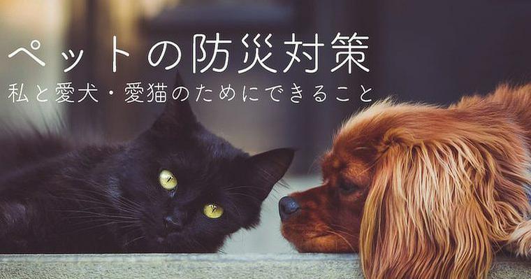 ペットの防災対策できてますか? 犬や猫のために準備しておきたい防災グッズを紹介