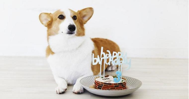 【今日のシロップ】誕生日は、迎えてからの思い出を振り返る大切な記念日