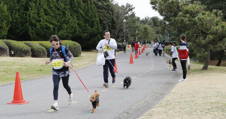 555組の飼い主さんと愛犬が走る！　日本最大級のドッグマラソンを写真＆動画で紹介