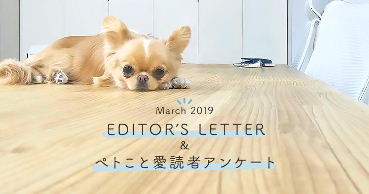 【EDITOR'S LETTER】2019年3月｜ペトこと愛読者アンケートご協力のお願い。