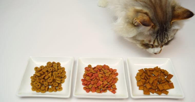 猫のタウリン不足に要注意！欠乏症の症状や食ベ物・サプリで補う方法を解説