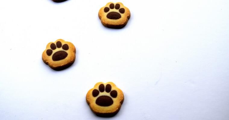 猫はクッキーを食べても大丈夫? 糖尿病のリスクやアレルギーの心配も