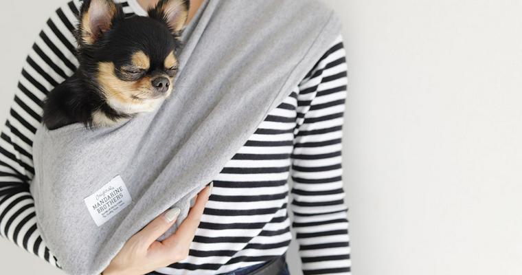 犬の抱っこ紐 スリング がおしゃれで便利 おすすめ商品や選び方のポイントを紹介 ペトコト