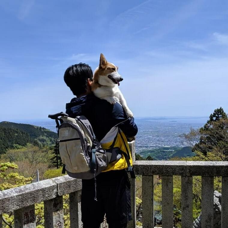 大山を愛犬と登る様子