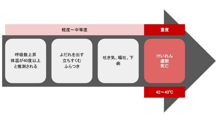 犬の熱中症の重症度を示した図