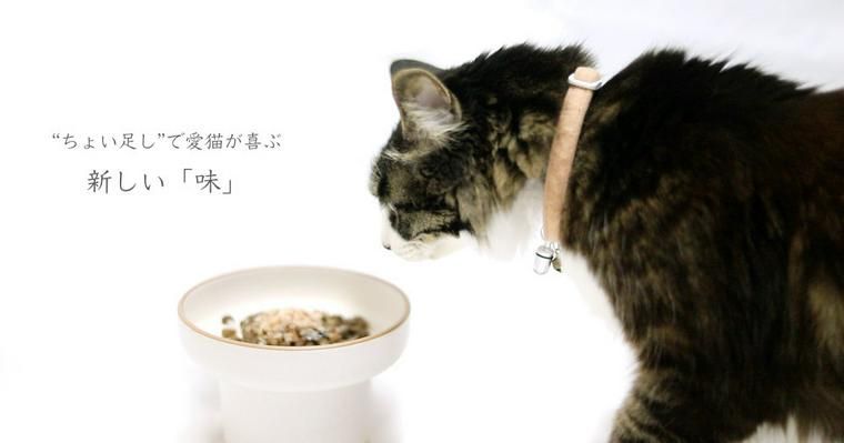 【特集：新しい「味」】愛猫のために。今日からできる“ちょい足し”ご飯
