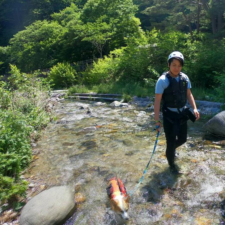 愛犬と川遊び 注意点や持ち物 関東を中心に川遊びスポットを紹介 ペトコト