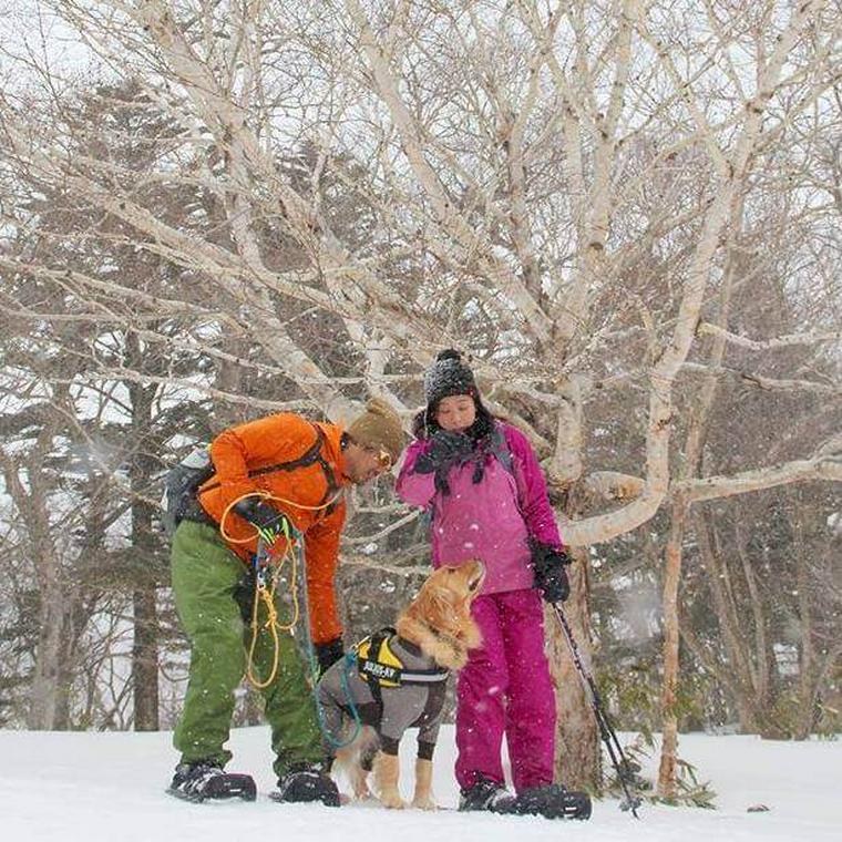 雪の斜面を並んで歩く犬と飼い主