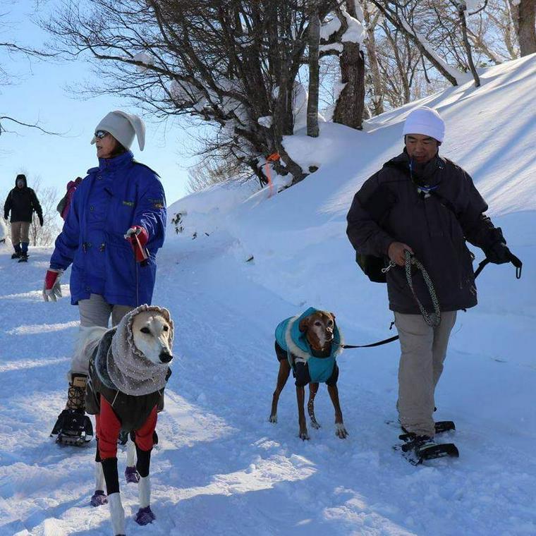 “犬とスノーシュツアー”