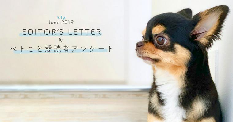 【EDITOR'S LETTER】2019年6月|ペトこと編集部の「3連休の過ごし方」を紹介します。