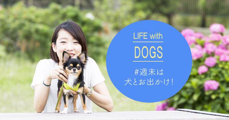 【2022年版】関東の愛犬と一緒に行けるおすすめスポットを紹介！