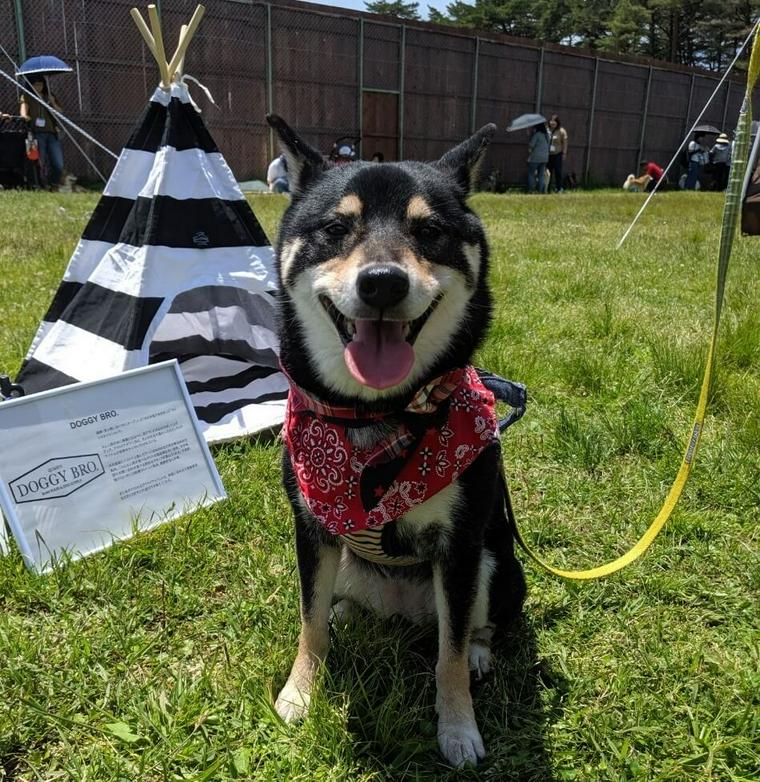 愛犬コルクと那須でお出かけ旅行