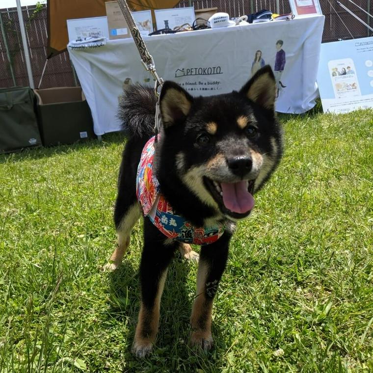 愛犬コルクと那須でお出かけ旅行