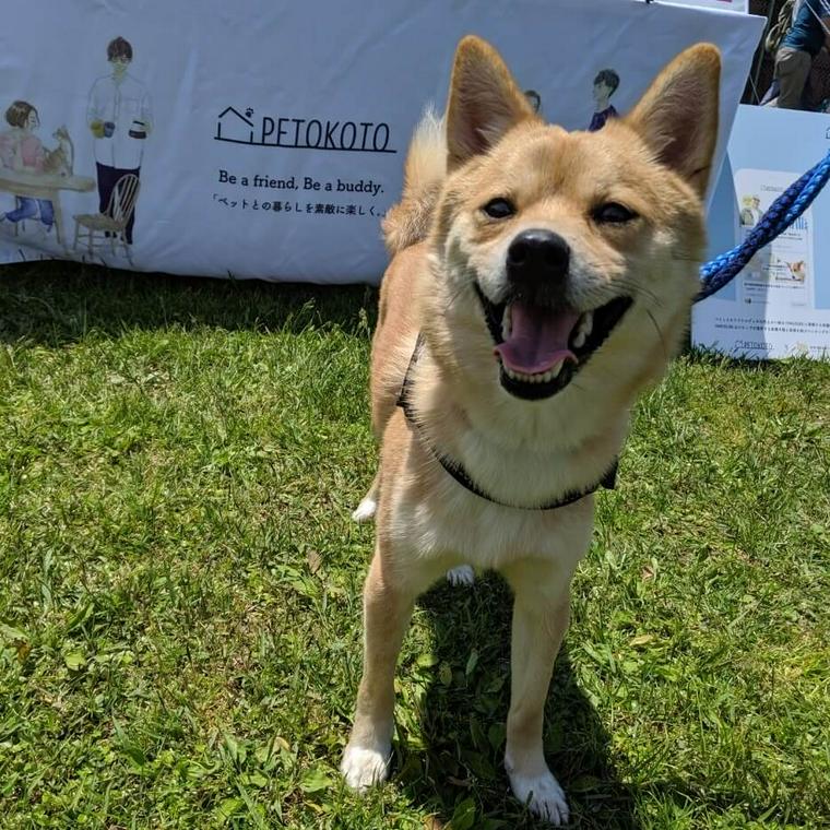 愛犬コルクと那須でお出かけ旅行