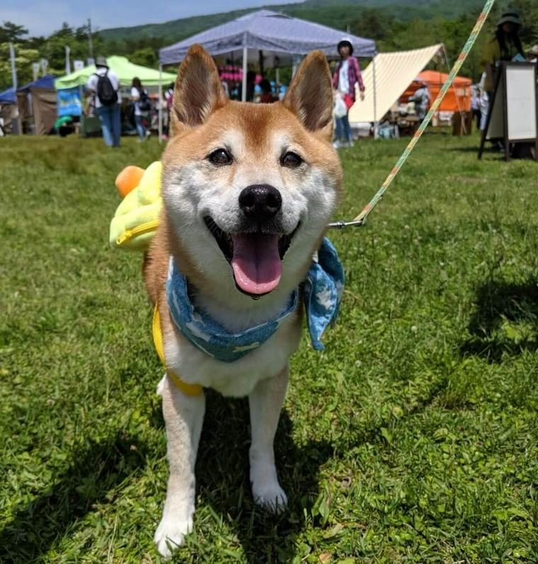 愛犬コルクと那須でお出かけ旅行