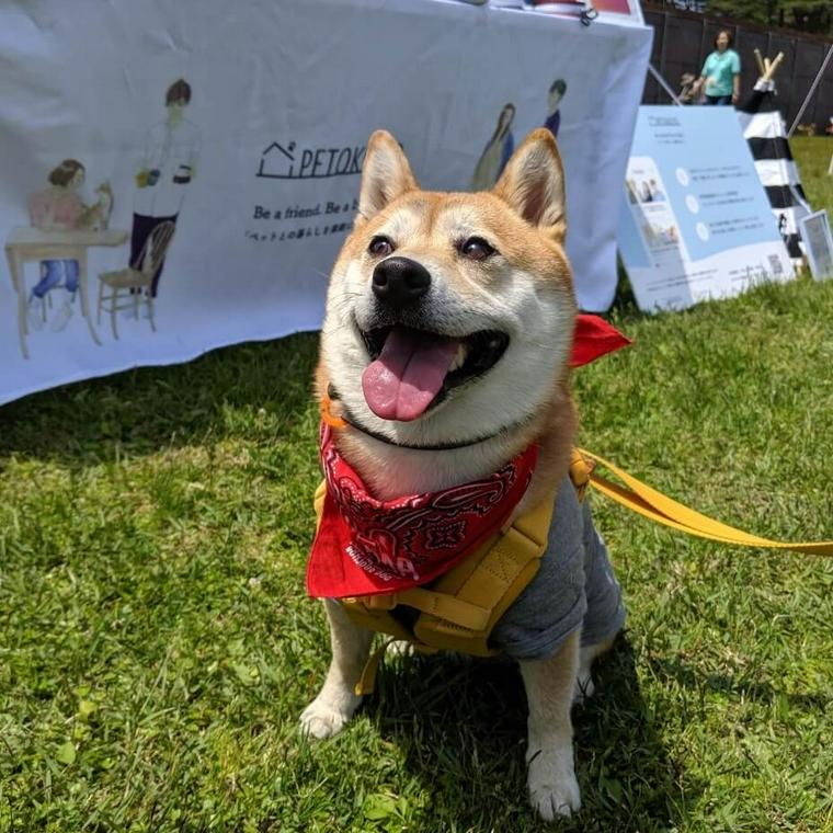 愛犬コルクと那須でお出かけ旅行