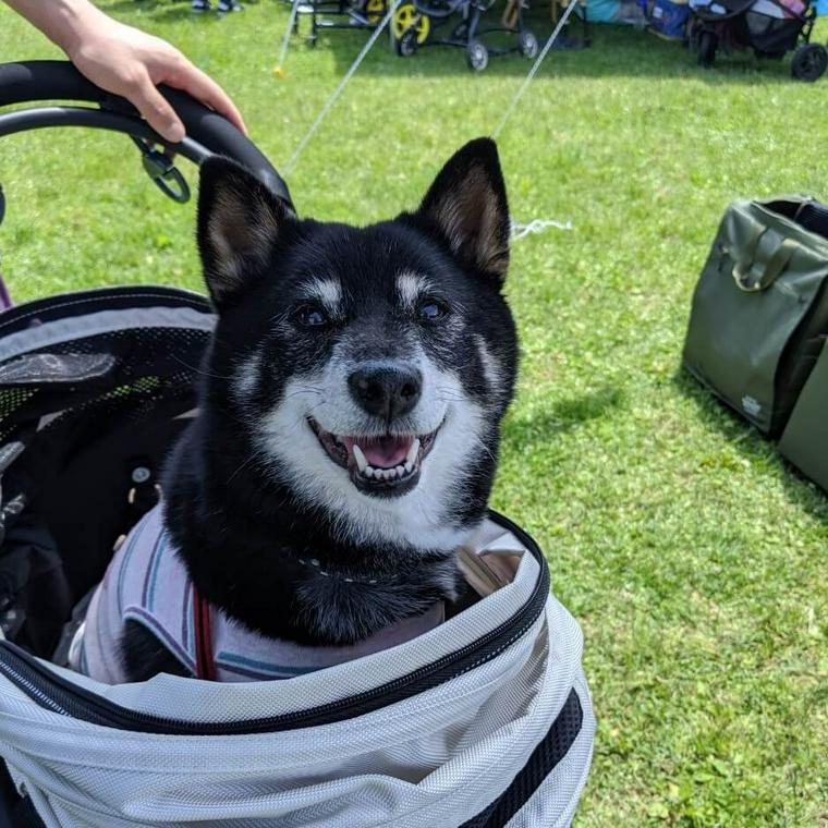 愛犬コルクと那須でお出かけ旅行