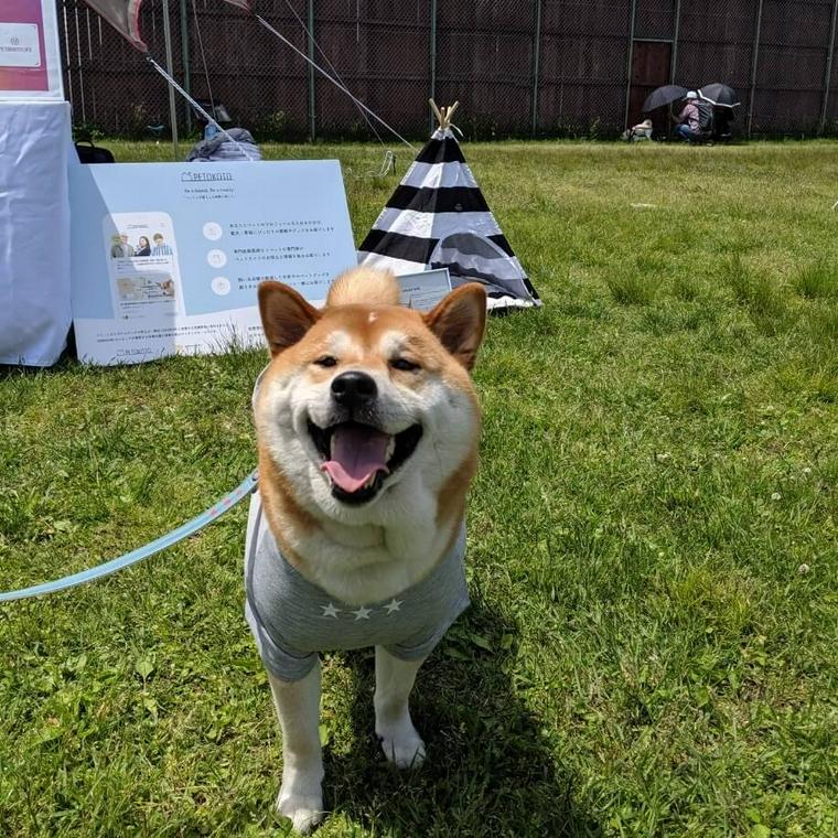 愛犬コルクと那須でお出かけ旅行