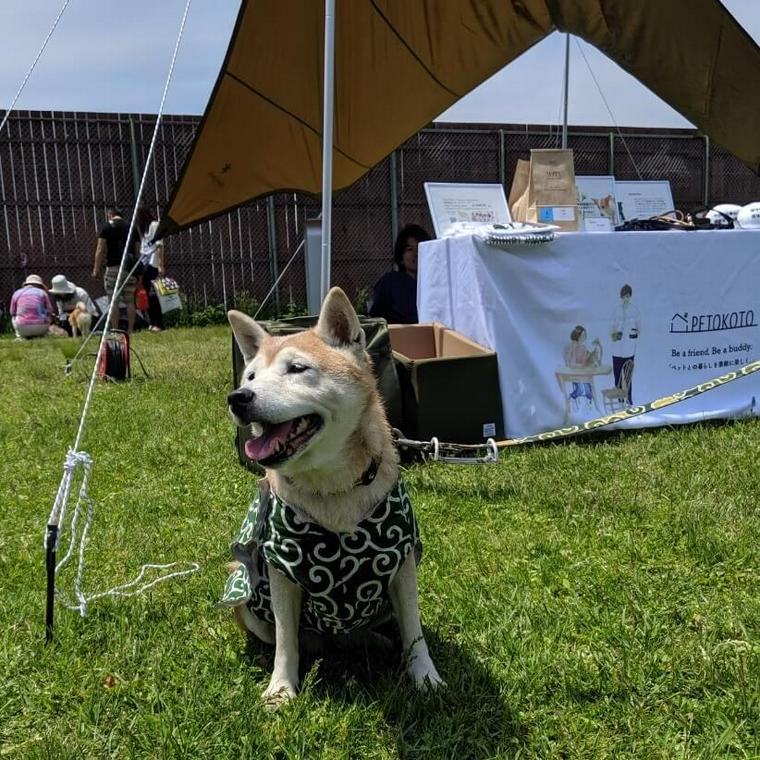 愛犬コルクと那須でお出かけ旅行