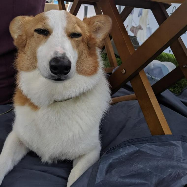 愛犬コルクと那須でお出かけ旅行