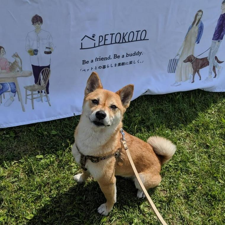 愛犬コルクと那須でお出かけ旅行